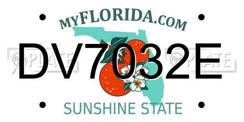 DV7032E Florida License Plate