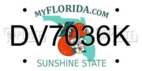 DV7036K Florida License Plate
