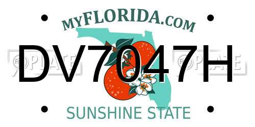 DV7047H Florida License Plate
