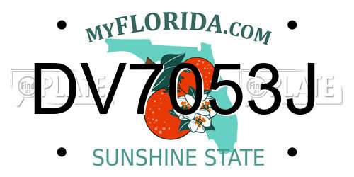 DV7053J Florida License Plate