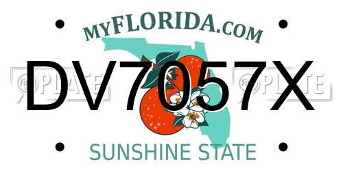 DV7057X Florida License Plate