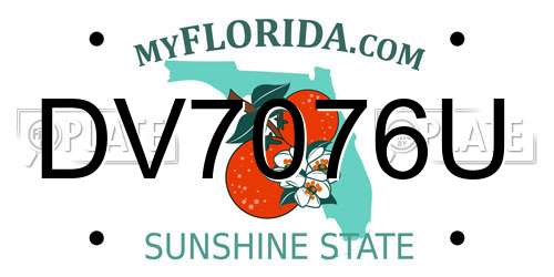 DV7076U Florida License Plate