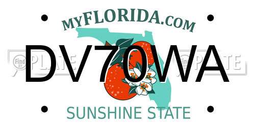 DV70WA Florida License Plate