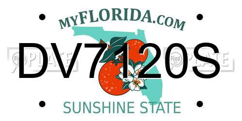 DV7120S Florida License Plate