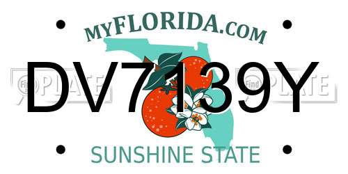 DV7139Y Florida License Plate