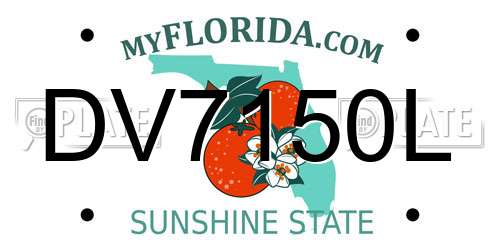 DV7150L Florida License Plate