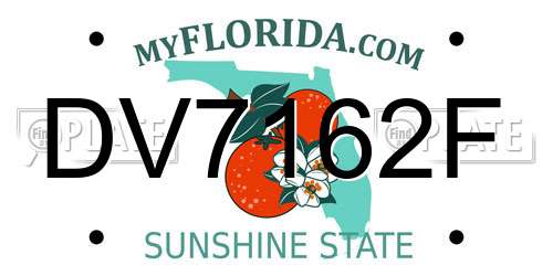 DV7162F Florida License Plate