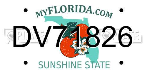 DV71826 Florida License Plate