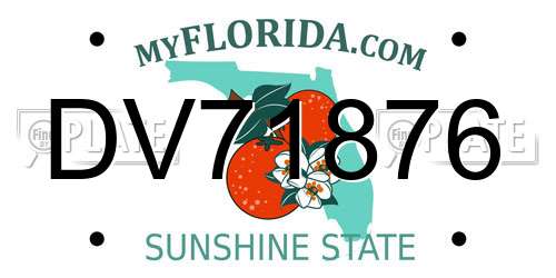DV71876 Florida License Plate