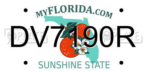 DV7190R Florida License Plate