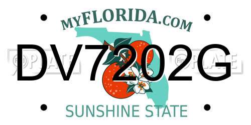 DV7202G Florida License Plate