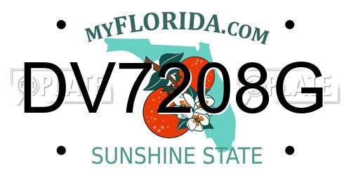 DV7208G Florida License Plate
