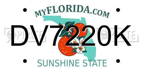 DV7220K Florida License Plate