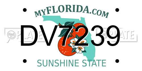 DV7239 Florida License Plate