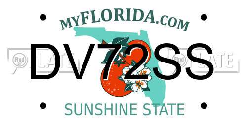 DV72SS Florida License Plate