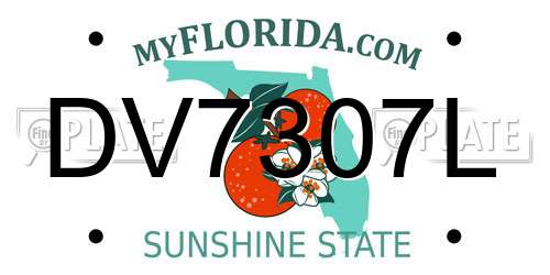 DV7307L Florida License Plate