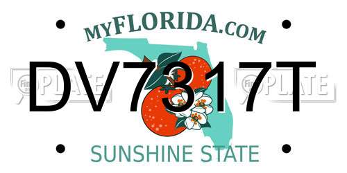 DV7317T Florida License Plate