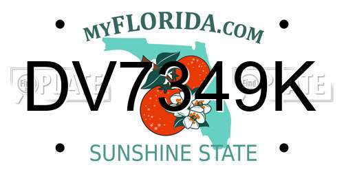 DV7349K Florida License Plate