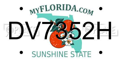 DV7352H Florida License Plate