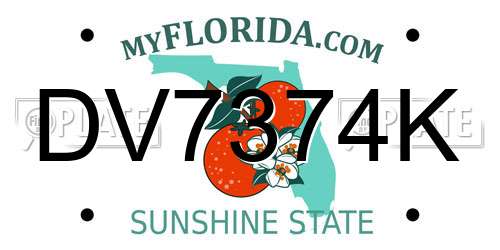 DV7374K Florida License Plate