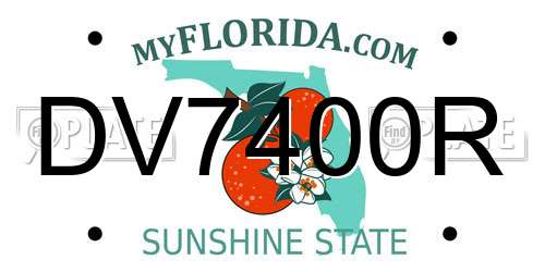 DV7400R Florida License Plate