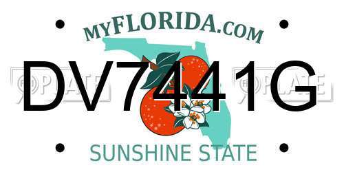 DV7441G Florida License Plate