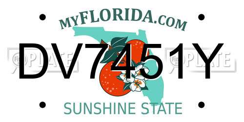 DV7451Y Florida License Plate