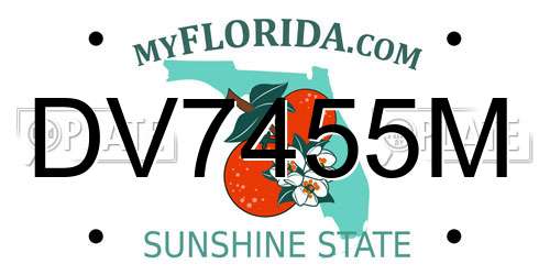 DV7455M Florida License Plate