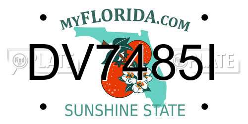DV7485I Florida License Plate