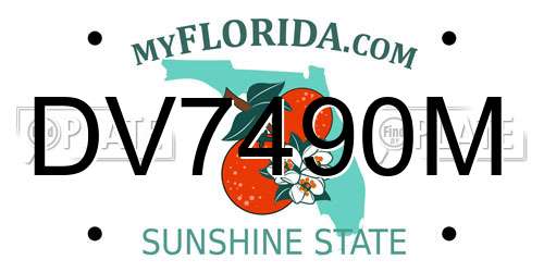 DV7490M Florida License Plate