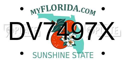 DV7497X Florida License Plate