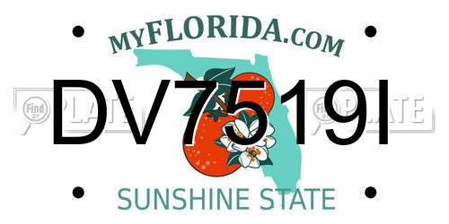 DV7519I Florida License Plate