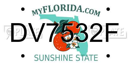 DV7532F Florida License Plate