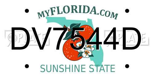 DV7544D Florida License Plate