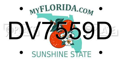 DV7559D Florida License Plate