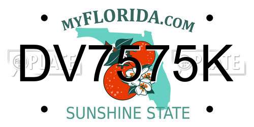 DV7575K Florida License Plate