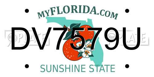 DV7579U Florida License Plate