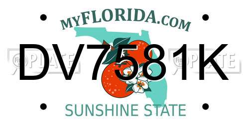 DV7581K Florida License Plate