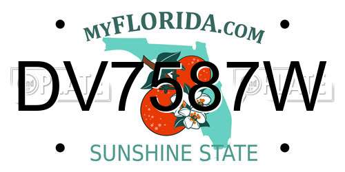 DV7587W Florida License Plate
