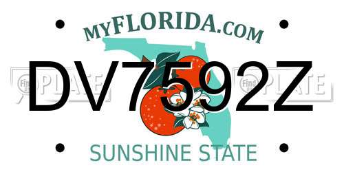 DV7592Z Florida License Plate