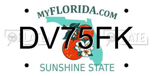 DV75FK Florida License Plate