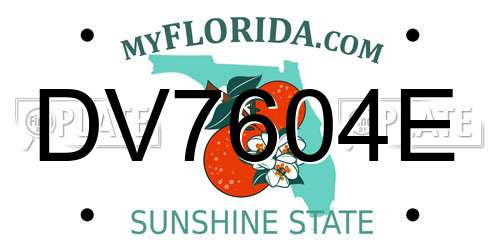 DV7604E Florida License Plate