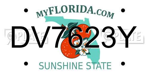 DV7623Y Florida License Plate