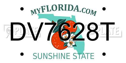 DV7628T Florida License Plate