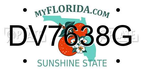 DV7638G Florida License Plate