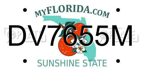 DV7655M Florida License Plate