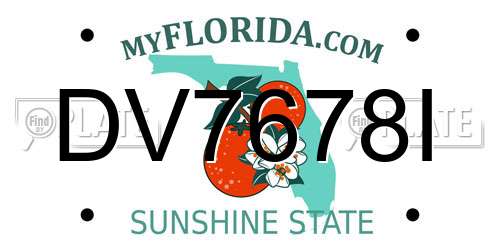 DV7678I Florida License Plate