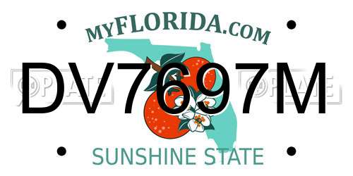DV7697M Florida License Plate