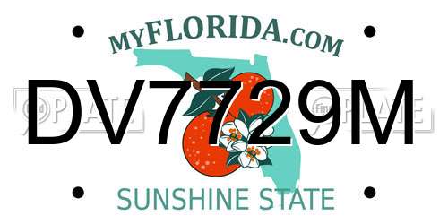 DV7729M Florida License Plate