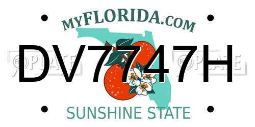 DV7747H Florida License Plate